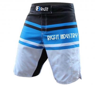 MMA Shorts